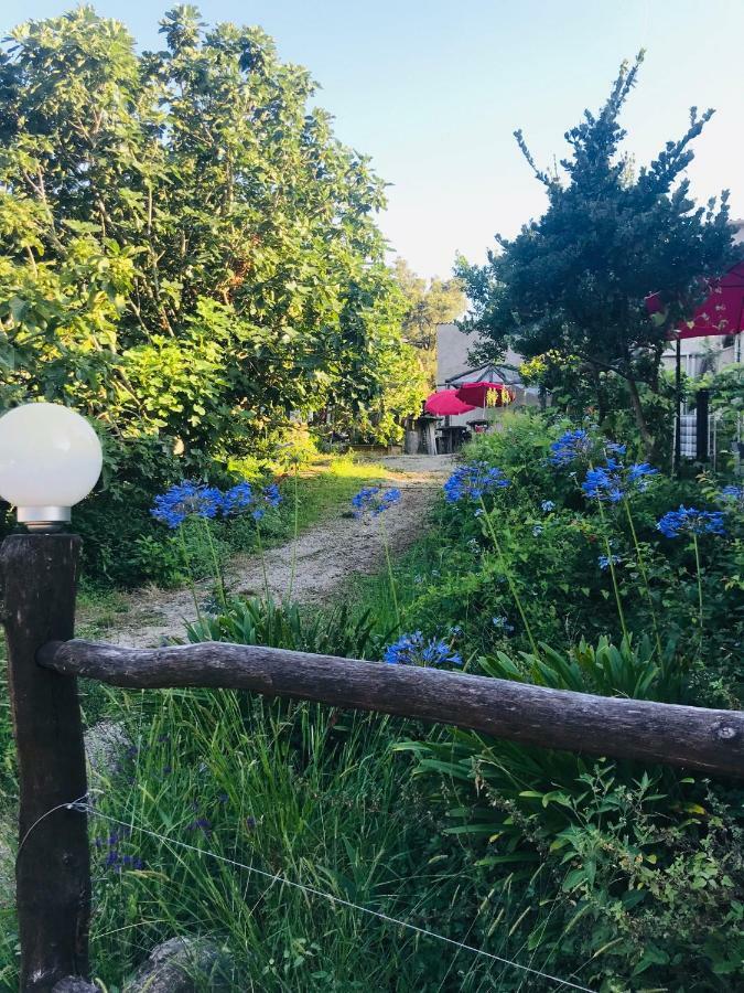 Gite U Licetu A La Campagne Oreta Zewnętrze zdjęcie